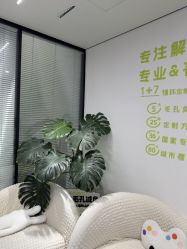 -凡碧诗毛孔清洁收细