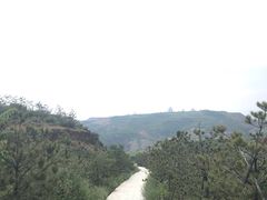 -五龙城郊森林公园