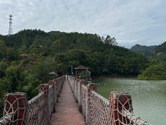 -广州白江湖森林公园