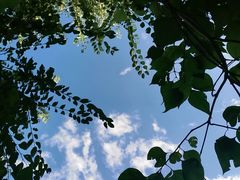 -大玩家(哈尔滨悦荟店)