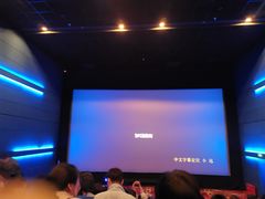 -奥斯卡升龙国际影城(RealD Cinema)