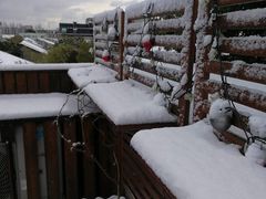 -瓷语堂(上海五维空间创意园店)