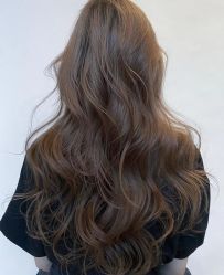 -时尚殿堂salon