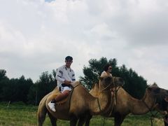 -库伦旗银沙湾旅游景区