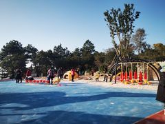 -铁山坪森林公园