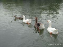 -杭州师范大学(下沙校区)