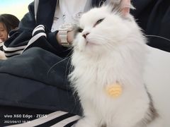 -怪兽屋·羊驼·猫咖·狗咖(俊华广场店)