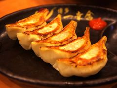博多一口饺子-博多一幸舍(侨福芳草地购物中心店)