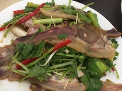-白魁老号饭庄(交道口店)