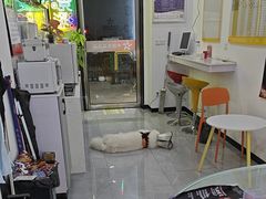 -中国体育彩票(竞彩店)