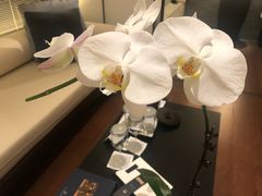 -上海璞麗酒店