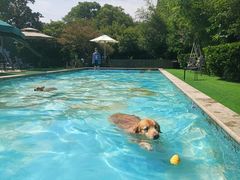 -汪说喵讲宠物乐园宠物酒店(红星美凯龙店)