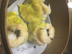 糖朝-糖朝(尖沙咀店)