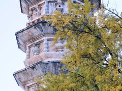 -崇圣寺三塔文化旅游区