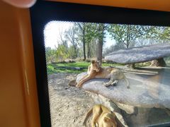 -北京野生动物园