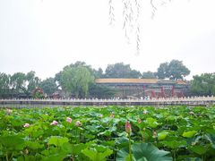-皇家御河游(紫御湾码头)