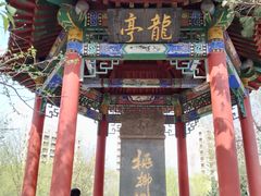-桃花堤公园