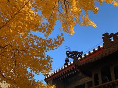 -红螺寺