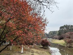 -凤凰沟景区