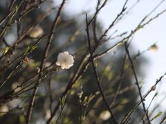 -南国桃园旅游度假区