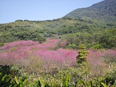 -福清灵石山国家森林公园