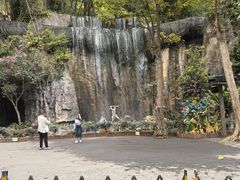 -西双版纳原始森林公园