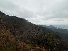 -灵顺寺