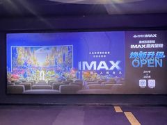 -万达影城(浦西万达广场激光IMAX店)