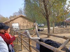 -大连森林动物园