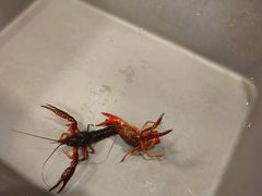 -聚味斋香辣蟹·蓝龙(塘沽总店)