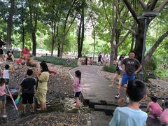 -成都市活水公园