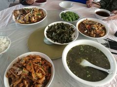 -小六农家乐(崇明西沙湿地店)