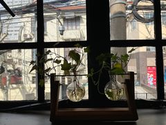 -Apollo·西班牙小酒馆(安福路店)