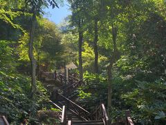 -天明山温泉大酒店