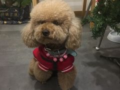 -沙青(江场二路店)