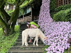 -巴倒烫陆派火锅山庄(南山总店)