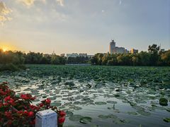 -长春市南湖公园