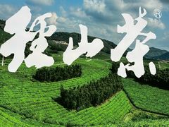 -陆羽泡的茶(集散中心店)