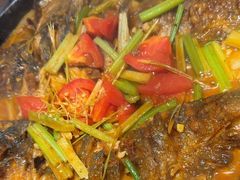 -老板恋上鱼(恒隆广场店)