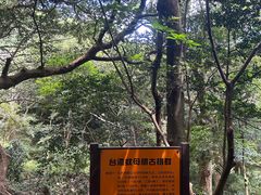 -普陀山慧济禅寺