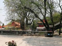 -封龙山风景区