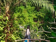 -云溪植物园
