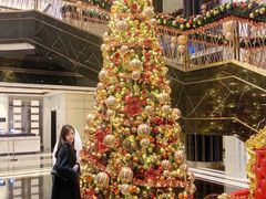 -上海苏宁宝丽嘉酒店·Cafe Bellagio西餐厅