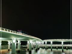 -演武大桥观景平台