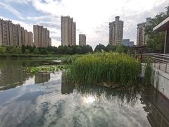 -昆山城市生态森林公园