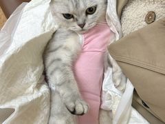 -宠颐生中康贝怡动物医院