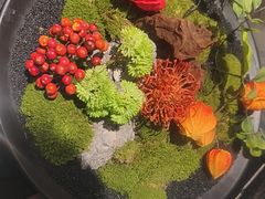 -阿明小菜·海鲜·上海菜(成山路巴黎春天店)