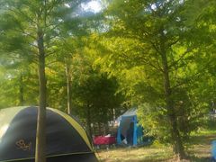 -上海海湾国家森林公园