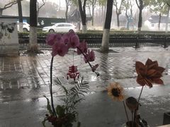 -金典银峰老鹅馆·昆山菜(亭林公园店)