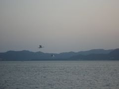-华侨公园